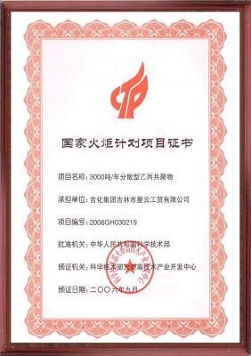 National Torch Program project certificate